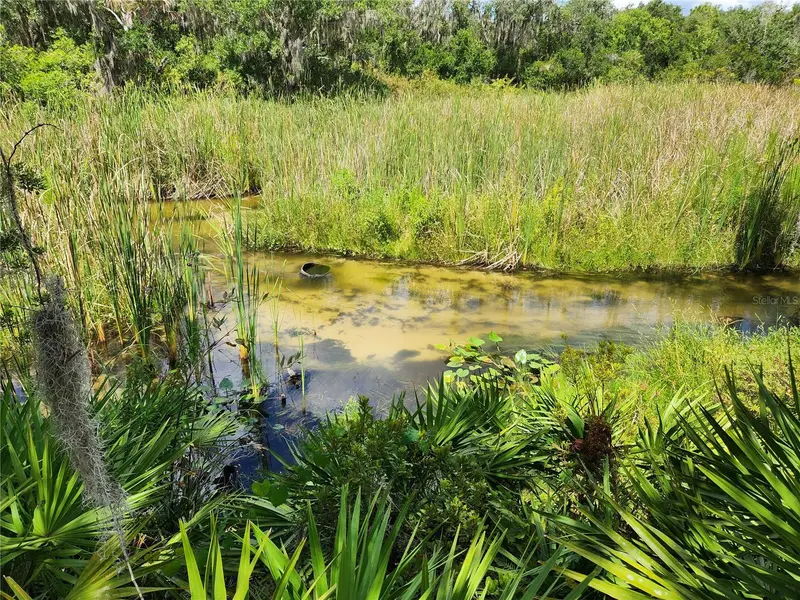 Deer Rd, FL