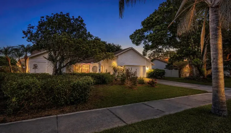 Dunedin listing