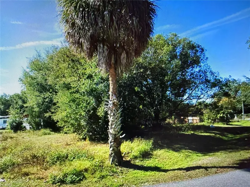950 Pinedale Ave, FL