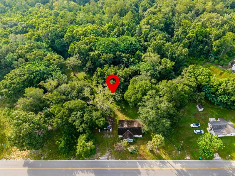 923 Marshall Farms Rd, FL
