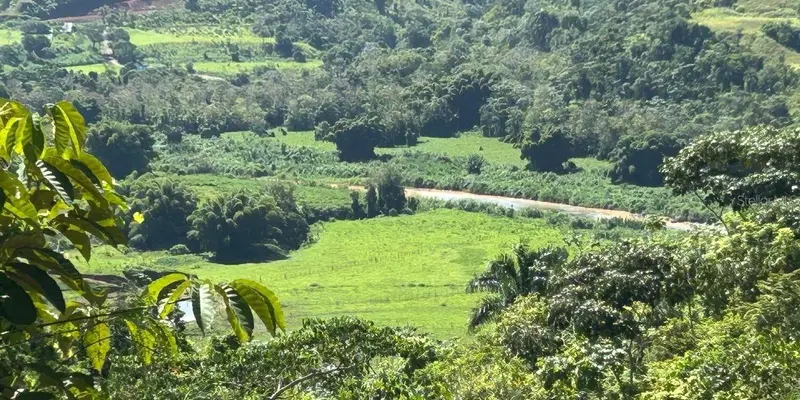 Carr 424 Bo Guacio, PR