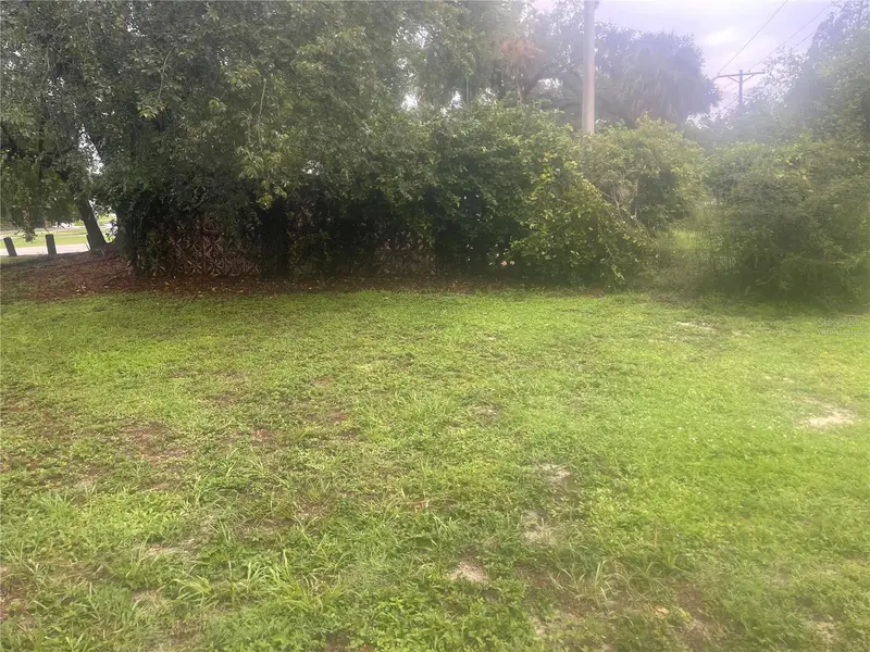 33855 Mandrake Rd, FL