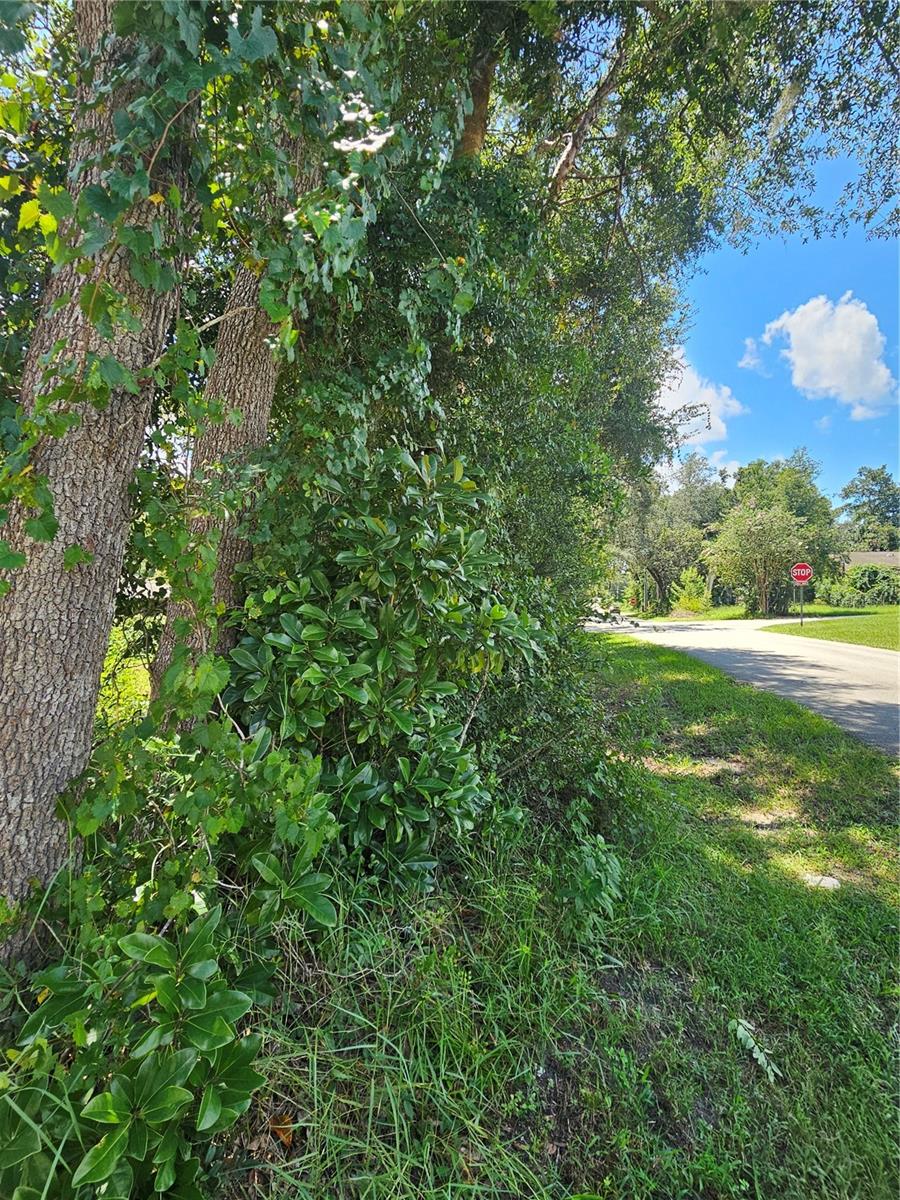 West Highlands listing