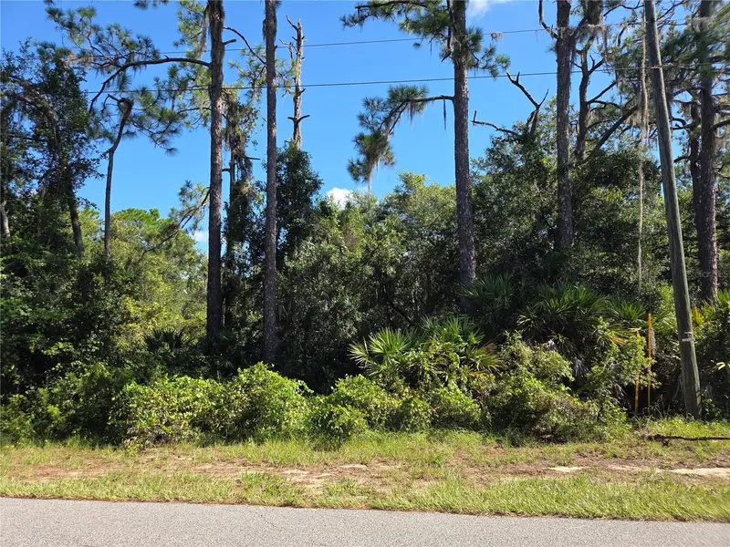 Deer Rd, FL