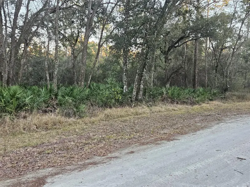 Rosehill Dr, FL