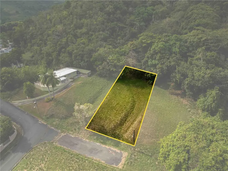 98 Naranjo Valley, Calle 4, PR