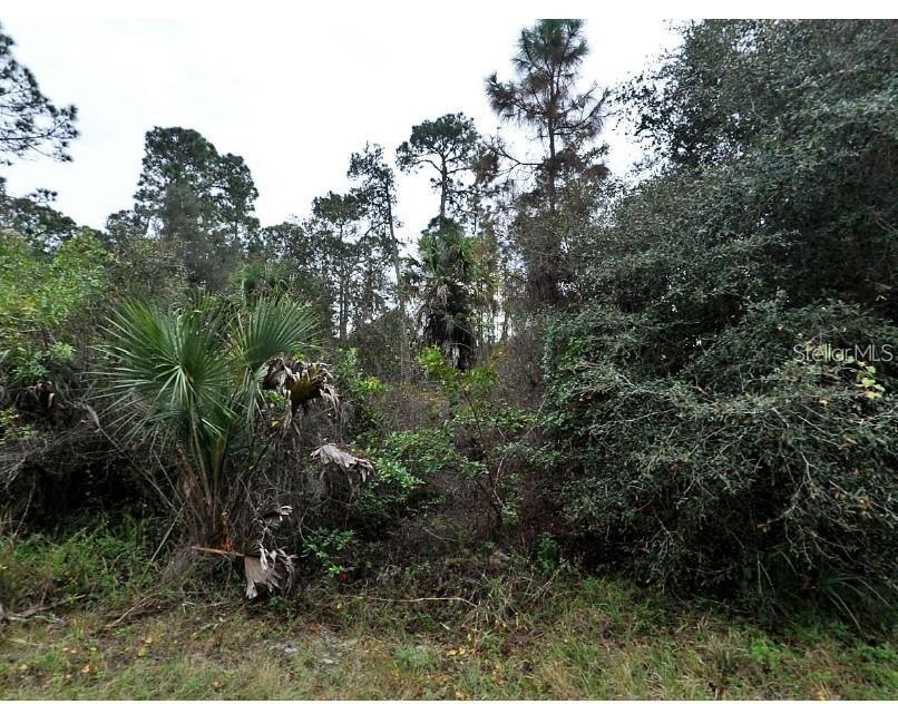 Kamain Rd, FL