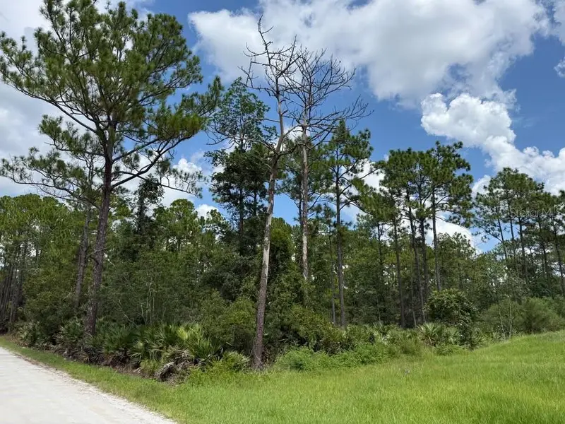 Daytona Park Estates listing