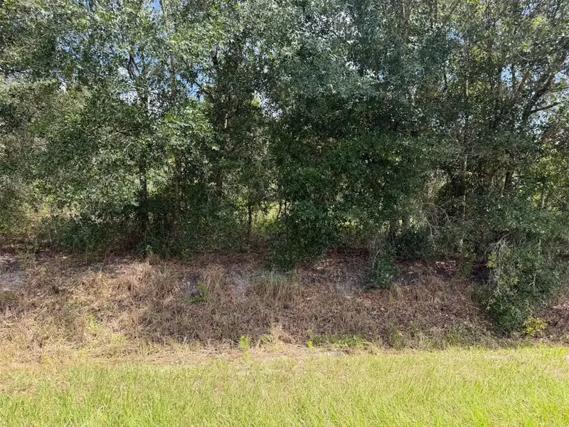 21971 Nw 260th St, FL