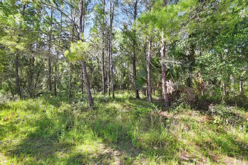1964 S Farm Rd, FL
