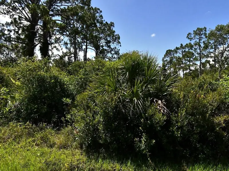 De Miranda Ave, FL