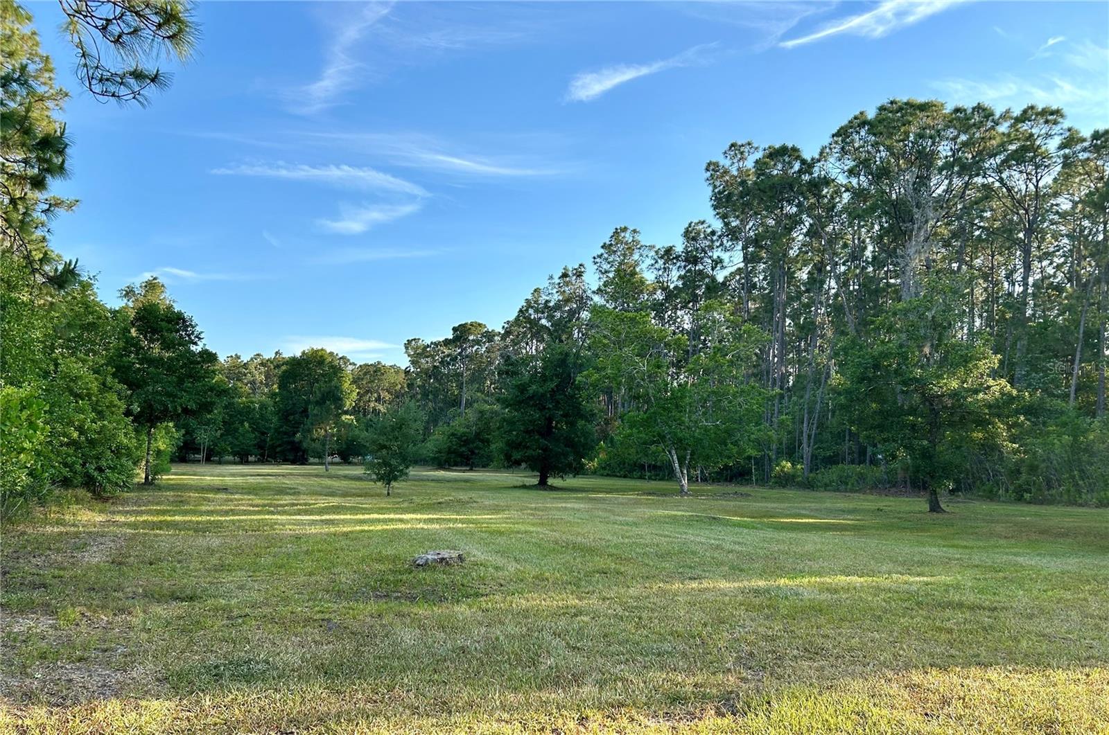 Limpkin Ln, FL