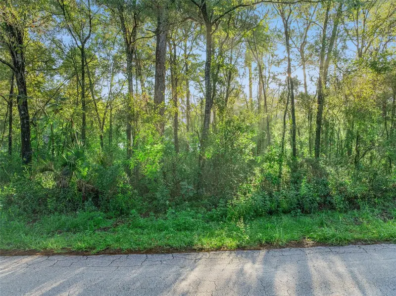29 N Rooks Ave, FL