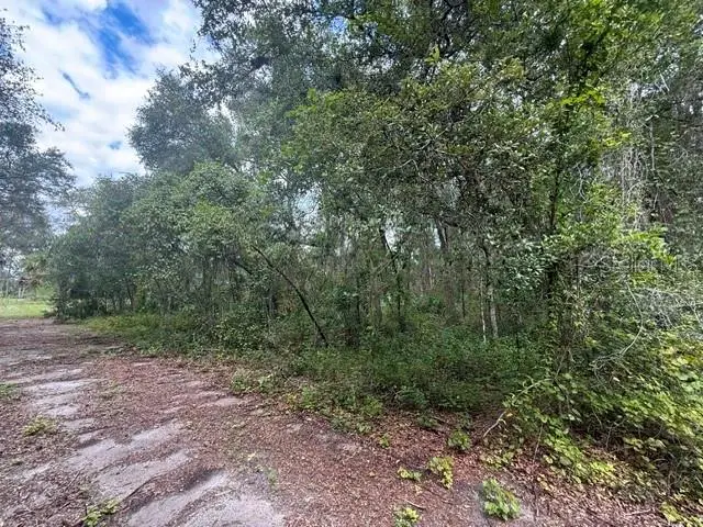 189 N Oakwood Ter, FL