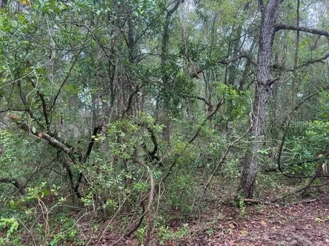 177 N Oakwood Ter, FL