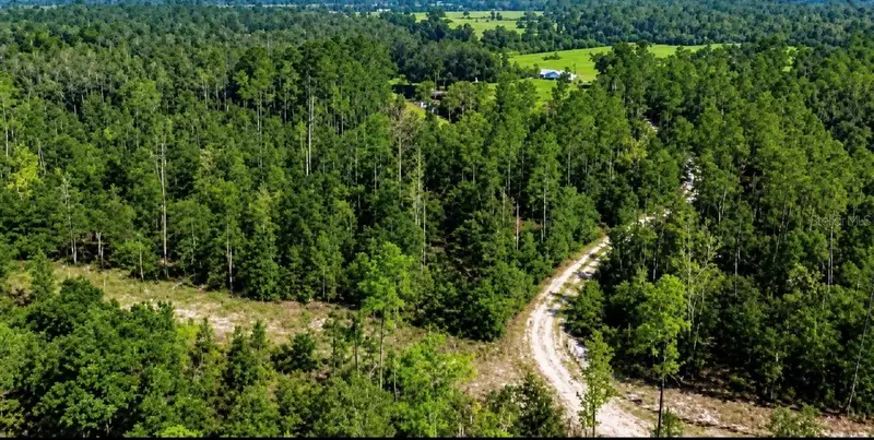 Sw Co Rd 249, FL