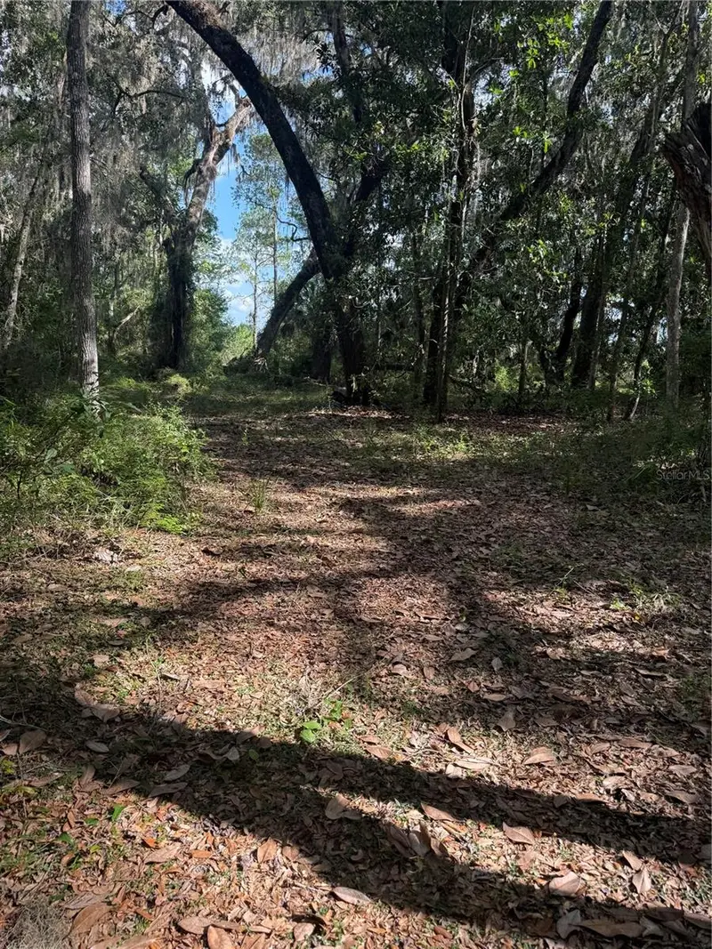 5612 E Highway 316, FL