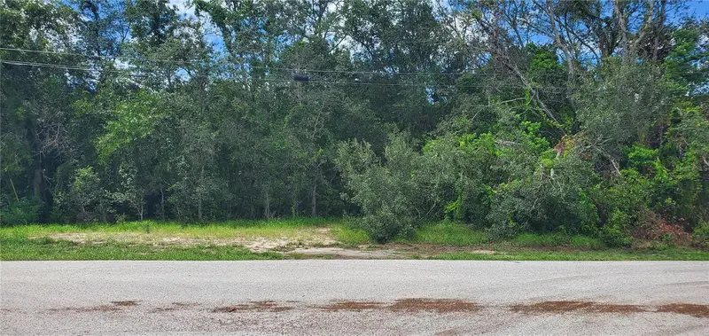 Spring Hill, FL