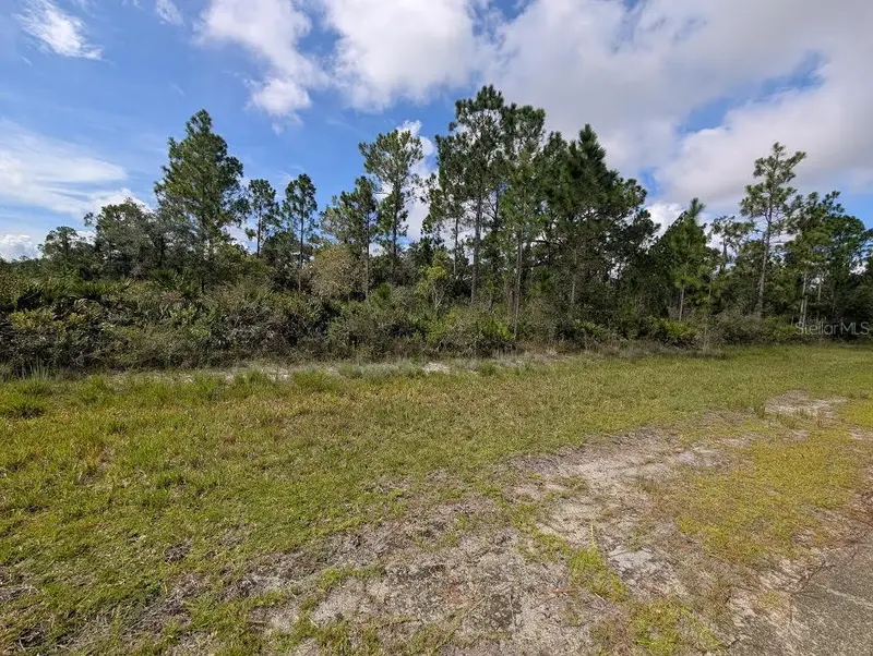 Oleander Dr, FL