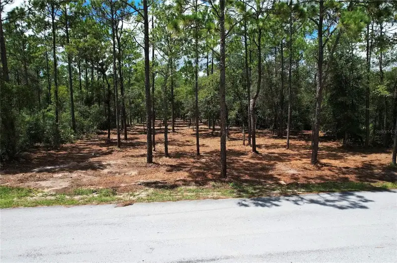 Sw 183rd Ter, FL