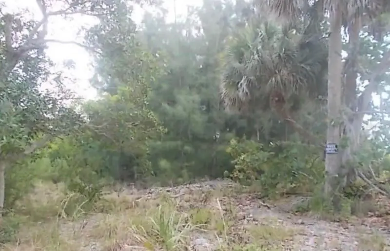 Lot 5 Grant Island Estate, FL