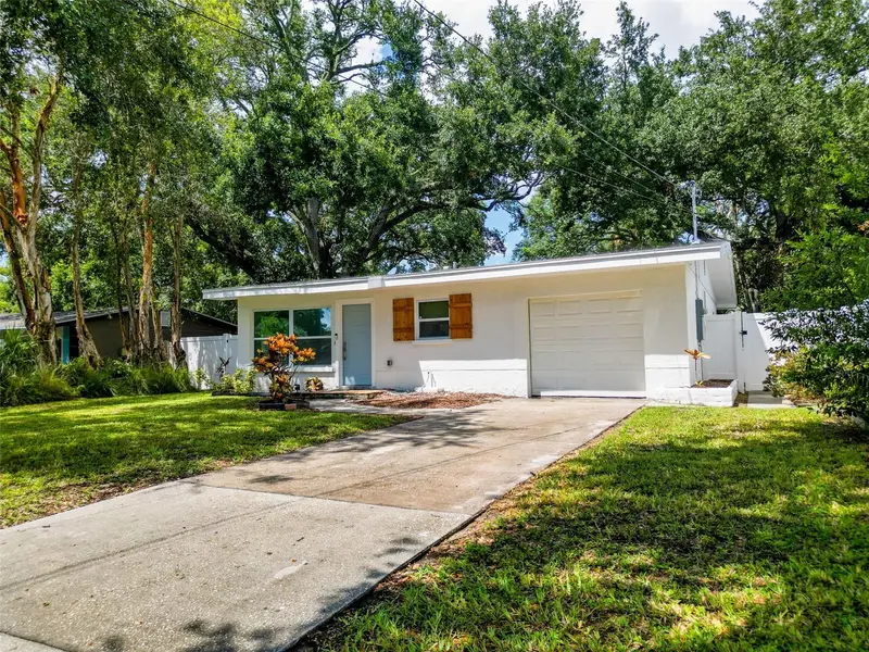 674 Frederica Ln, FL