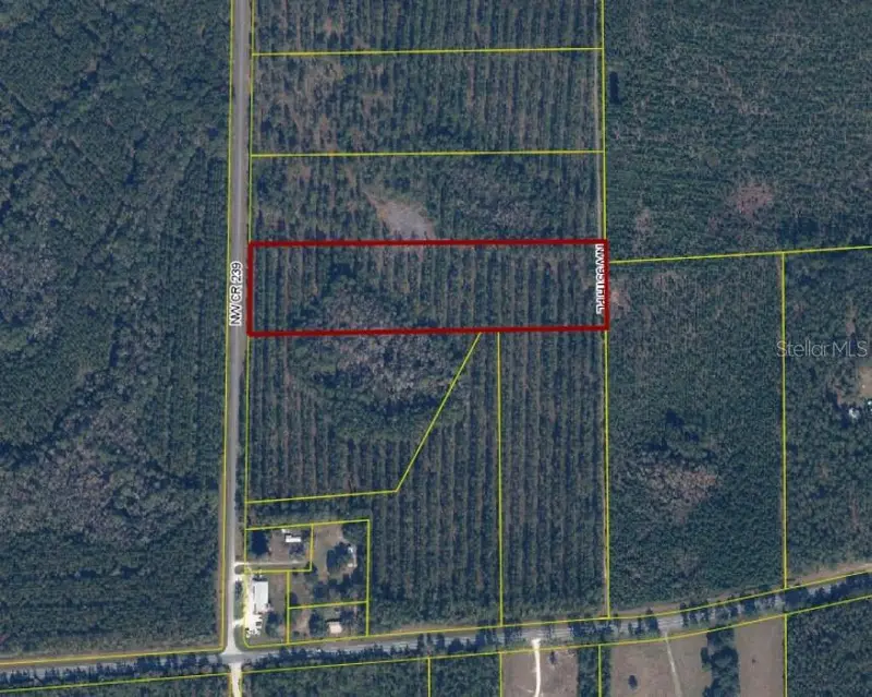 Nw County Rd 239, FL