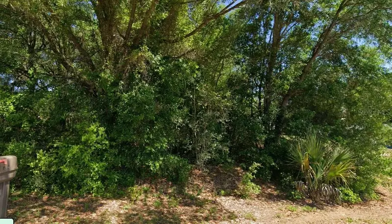 19801 Flamingo Dr, FL