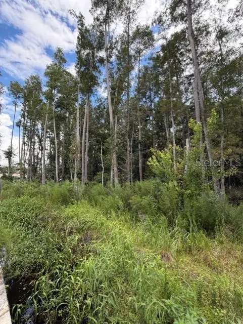 Wesley Chapel Blvd, FL