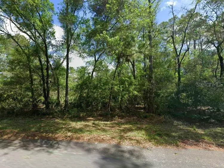 11476 W Cockscomb Dr, FL