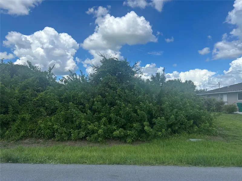11104 Grafton Ave, FL