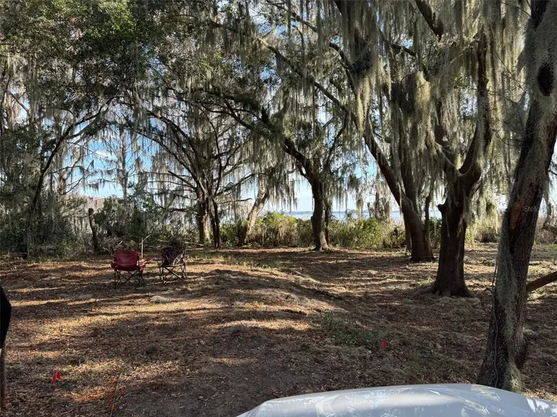 Ocklawaha Dr, FL