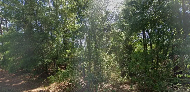 Lot 84 Se 99th Ave, FL