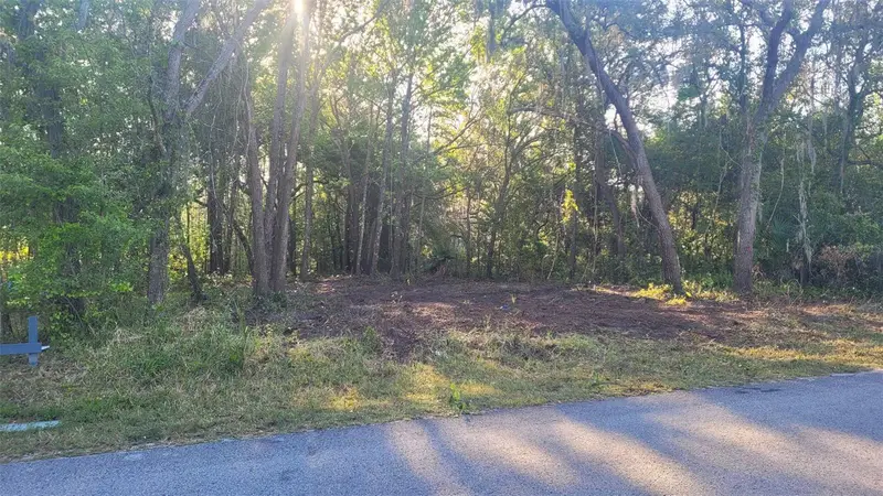 Marley Avenue, FL