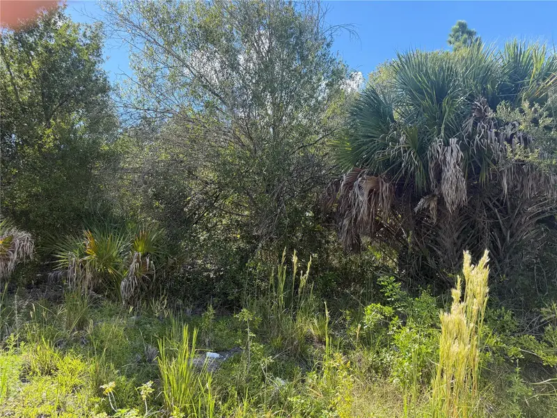 Swiss Blvd, FL