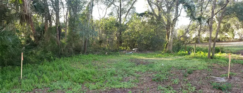 Apopka, Fl, FL
