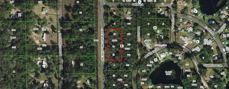 5075 N Carl G Rose Hwy, Hernando Fl 34442, FL