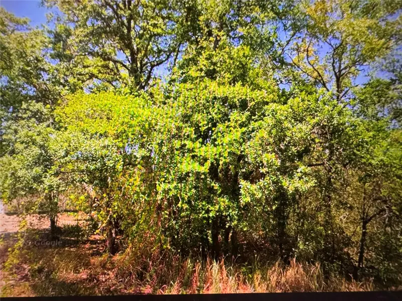 252 Locust Ln, FL