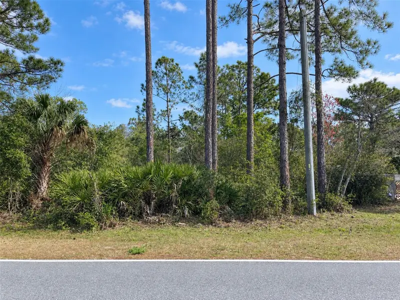 Royal Trails Rd, FL