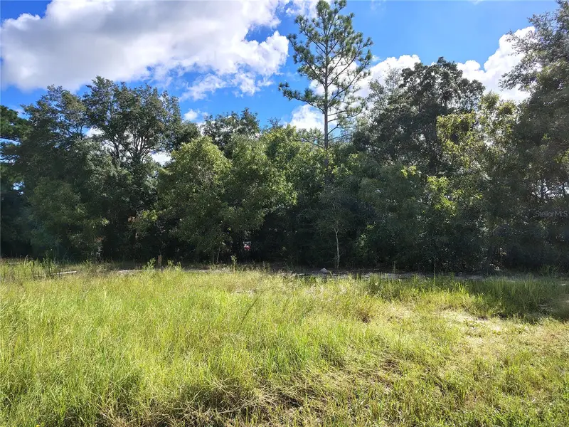 Silver Springs Shores Unit16, FL