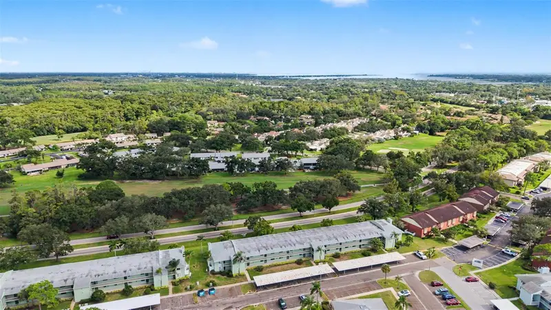 East Lake Woodlands listing