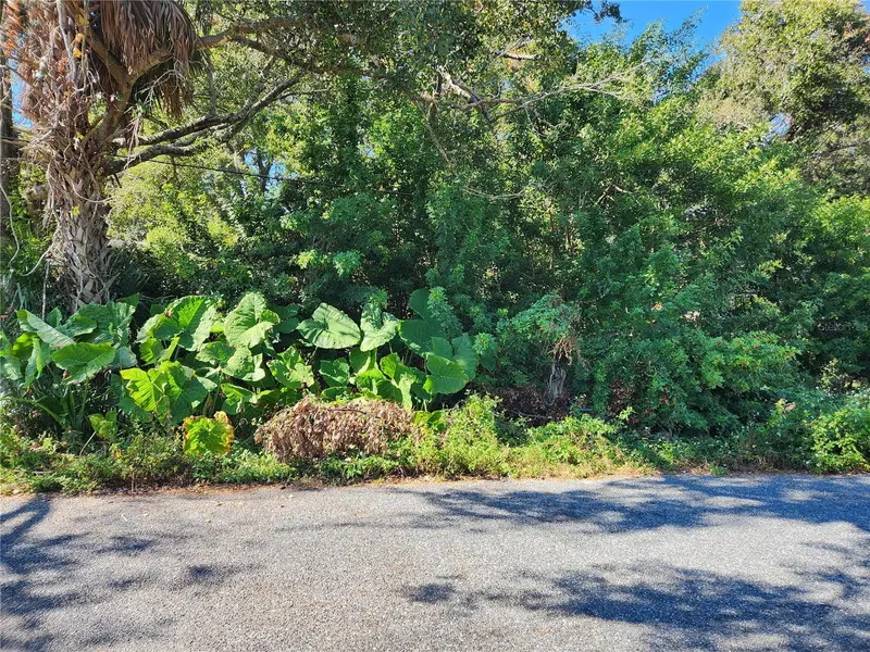 00 Atis St #Lot #9, FL
