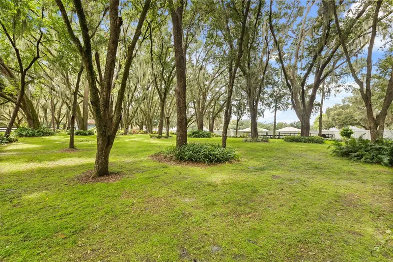 144 Tildenville School Rd, FL
