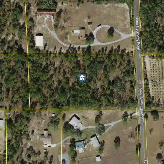 7346 S Blackberry Pt, FL