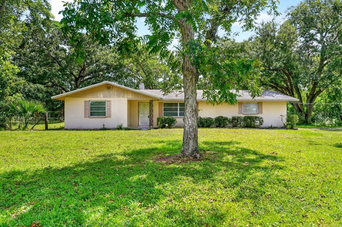 779 Timothy St, FL