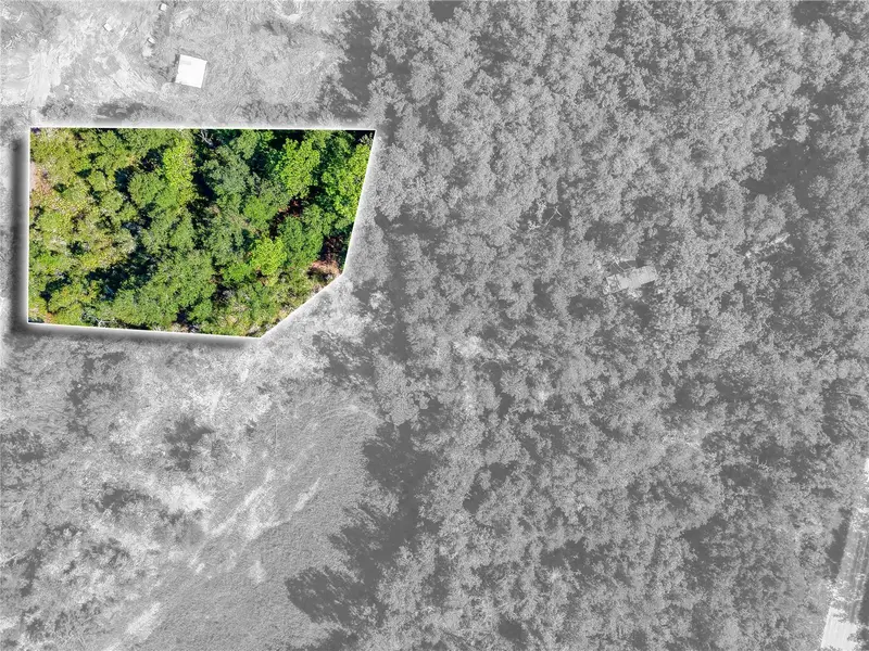 0 Sandstone St, FL