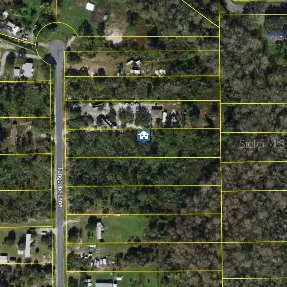 Tangerine Ln, FL