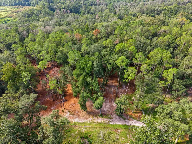 1050 Katie Wood Trl, FL