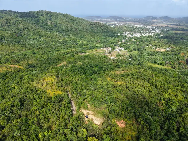 982 Fincas De Naranjo, PR