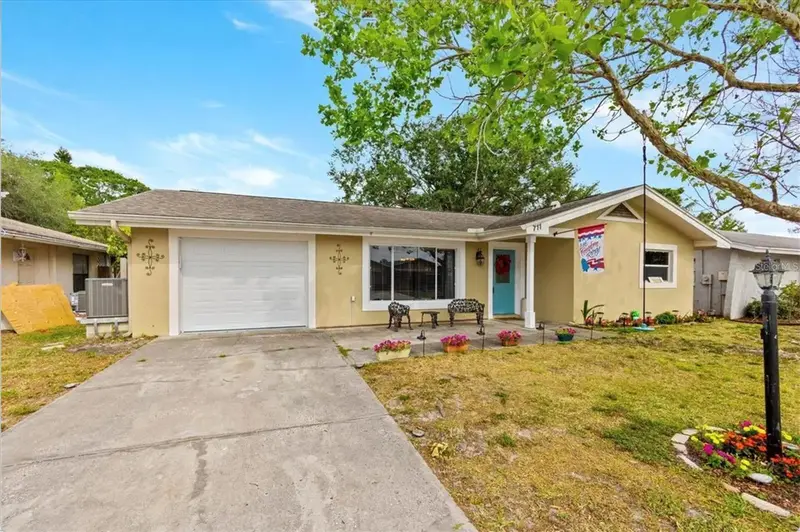 711 Lemonwood Dr, FL
